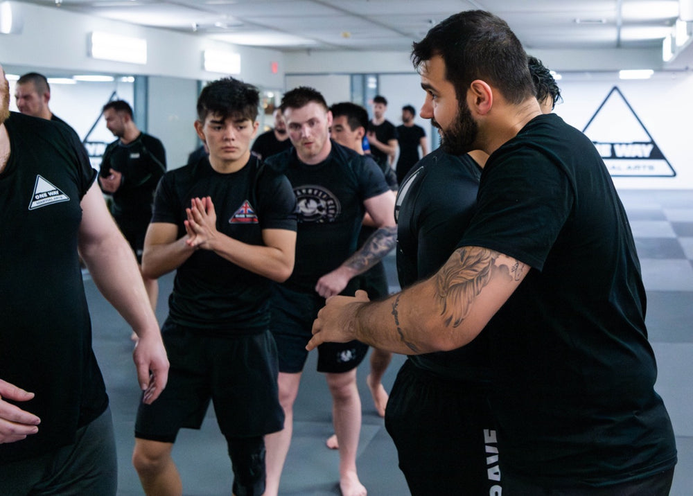 No-Gi Submission Grappling in Alexandria, VA – One Way Martial Arts